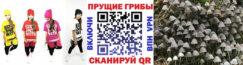Галлюциногенные грибы мухоморы  закладка  Анжеро-Судженск 