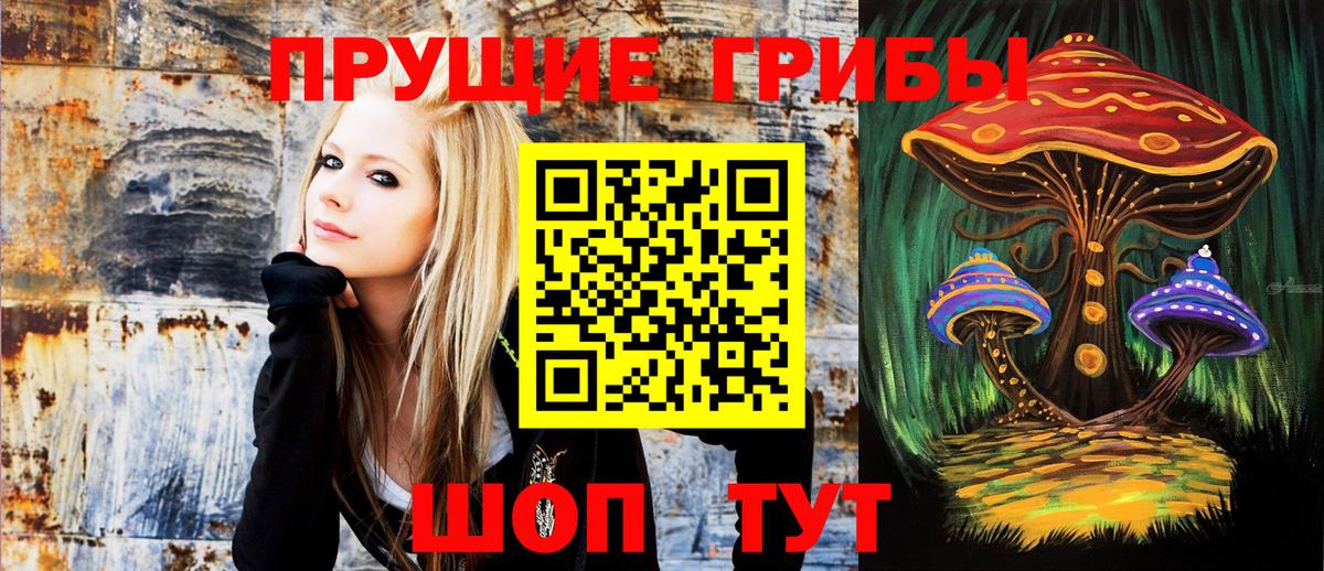 Анжеро-Судженск  Псилоцибиновые грибы мухоморы  Вход с VPN 