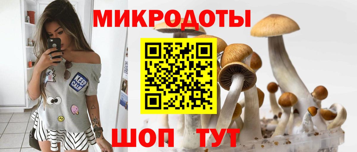 Галлюциногенные грибы Psilocybine cubensis Анжеро-Судженск