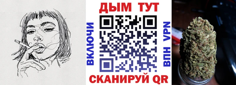 как найти наркотики  Анжеро-Судженск  Канабис Bruce Banner 